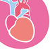 Das Belastungs-EKG: Modalitäten der Untersuchung und praktische Tipps